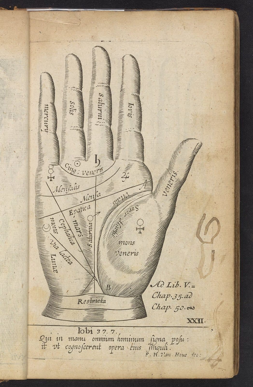 Classical palmistry hand with major lines